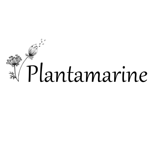 GAEC PLANTAMARINE
